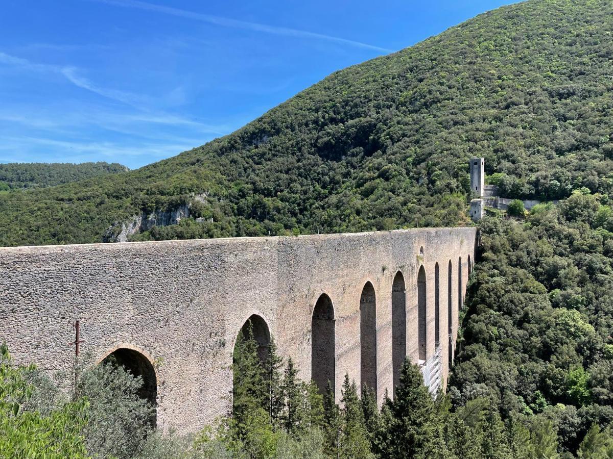 Di Via Macello Vecchio *